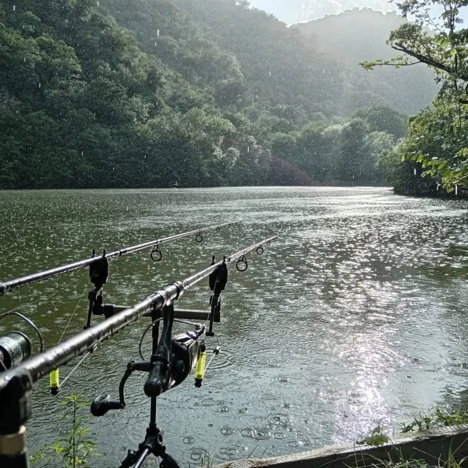 Pesca al lago vicino a Dilijan — pesca e assaggia in Tavush